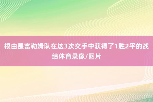 根由是富勒姆队在这3次交手中获得了1胜2平的战绩体育录像/图片
