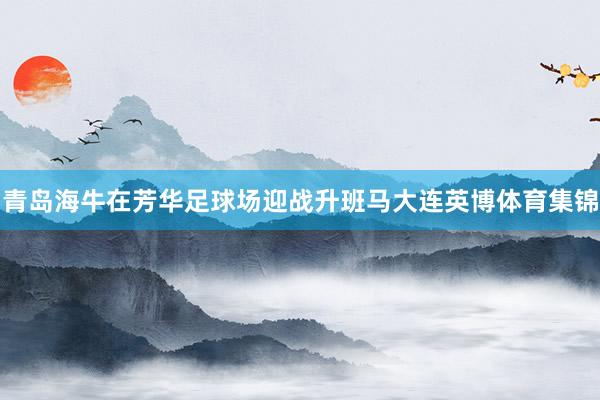 青岛海牛在芳华足球场迎战升班马大连英博体育集锦
