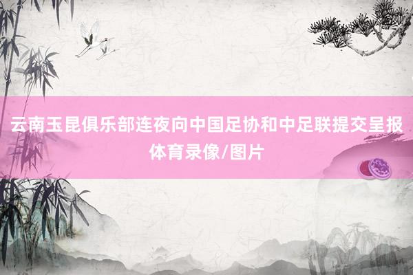 云南玉昆俱乐部连夜向中国足协和中足联提交呈报体育录像/图片