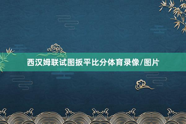 西汉姆联试图扳平比分体育录像/图片