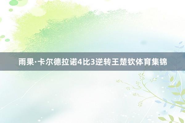 雨果·卡尔德拉诺4比3逆转王楚钦体育集锦