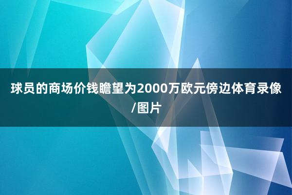 球员的商场价钱瞻望为2000万欧元傍边体育录像/图片