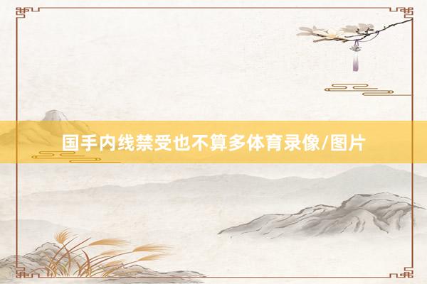 国手内线禁受也不算多体育录像/图片