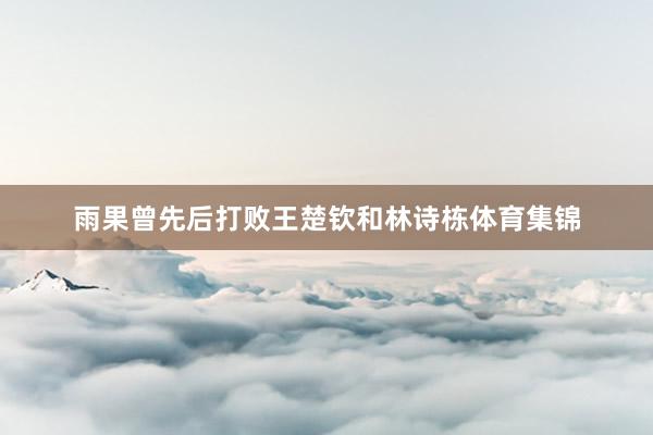 雨果曾先后打败王楚钦和林诗栋体育集锦