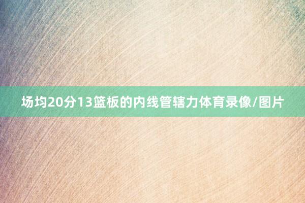 场均20分13篮板的内线管辖力体育录像/图片