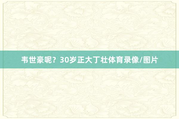 韦世豪呢？30岁正大丁壮体育录像/图片