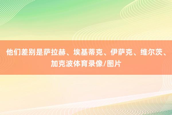 他们差别是萨拉赫、埃基蒂克、伊萨克、维尔茨、加克波体育录像/图片