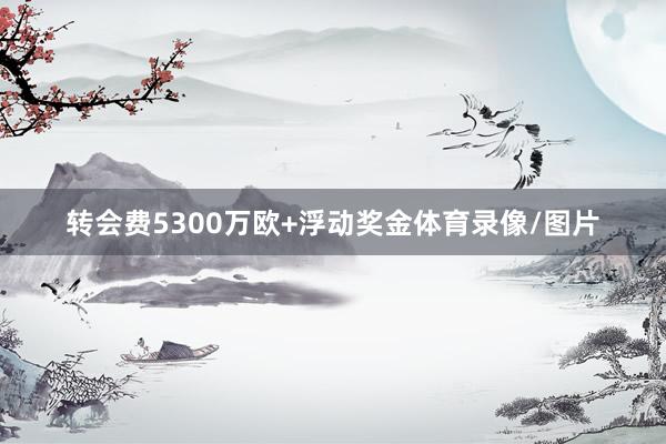 转会费5300万欧+浮动奖金体育录像/图片