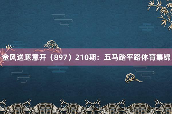 金风送寒意开（897）　　210期：五马踏平路体育集锦
