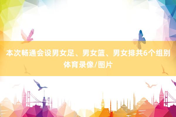 本次畅通会设男女足、男女篮、男女排共6个组别体育录像/图片