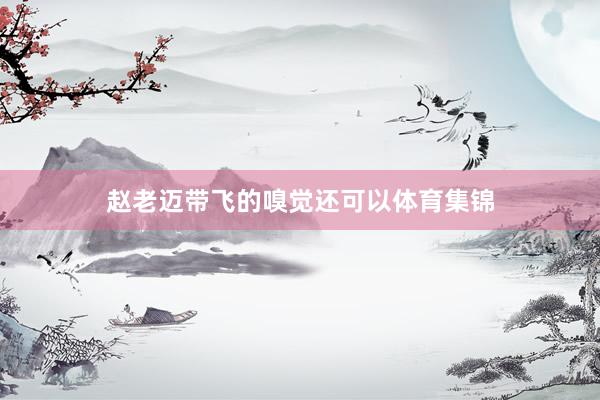 赵老迈带飞的嗅觉还可以体育集锦