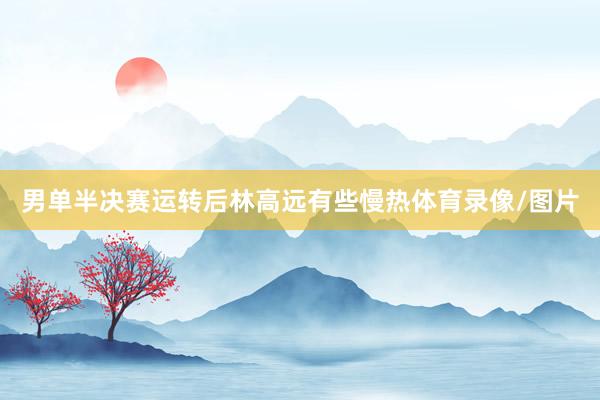 男单半决赛运转后林高远有些慢热体育录像/图片