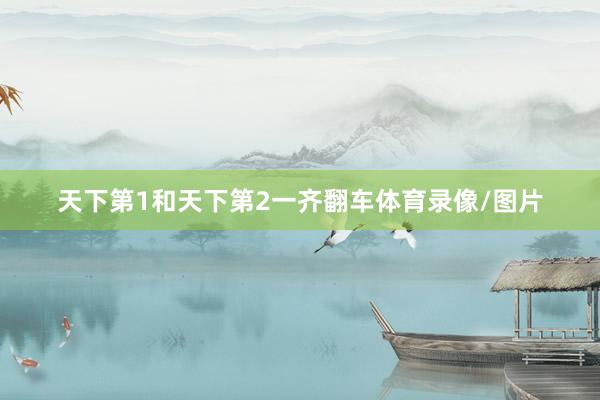 天下第1和天下第2一齐翻车体育录像/图片