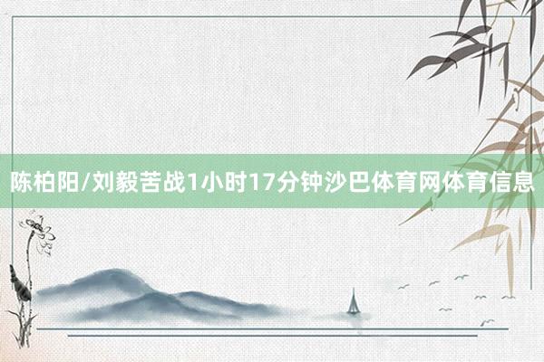 陈柏阳/刘毅苦战1小时17分钟沙巴体育网体育信息