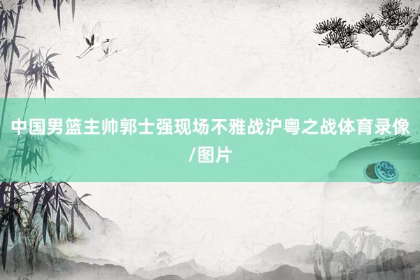 中国男篮主帅郭士强现场不雅战沪粤之战体育录像/图片