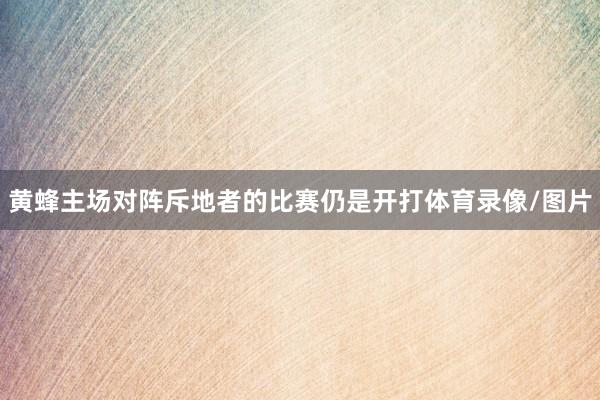 黄蜂主场对阵斥地者的比赛仍是开打体育录像/图片